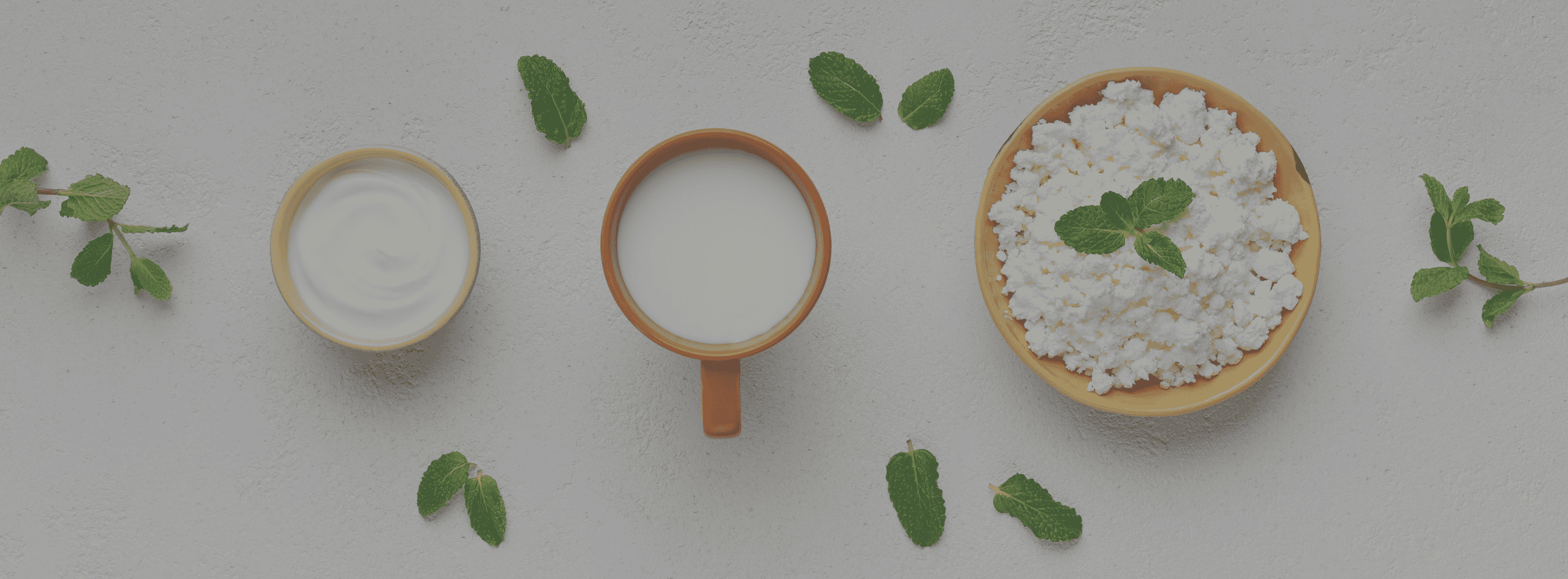 Reyhan Evi Our Products