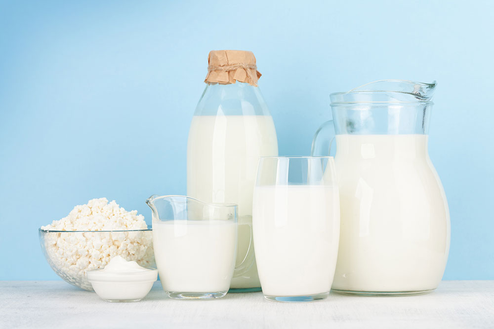 UHT Milk Tetra Pak Producer - Wholesale and Export - Reyhan Evi